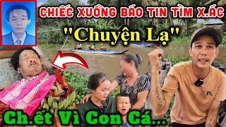 Chỉ Vì Giăng Lưới Kiếm Cá [upl. by Novel]