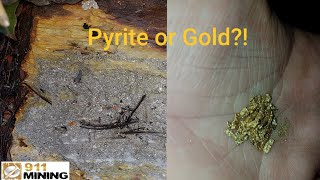 What Is The Difference Between Gold amp Pyrite [upl. by Lucrece]