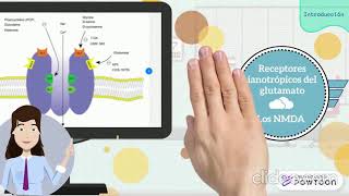Fármacos agonistas y antagonistas del receptor NMDA de Glutamato [upl. by Ineslta832]