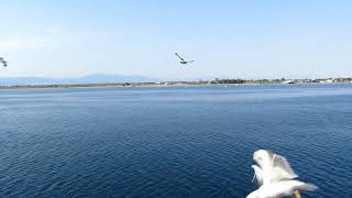 Ferry from Keramoti to Limenas [upl. by Ramberg]