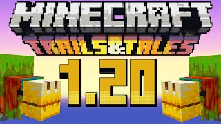 ✅ Minecraft 120 REVIEW COMPLETA  Trails and Tales Update RESUMEN Español [upl. by Busch]