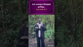 உன் சுகவாழ்வு சீக்கிரத்தில் துளிர்க்கும் towardsjesus26 heavenlyword jesuswords bibleverses [upl. by Arahs]