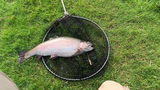 86 Avington Trout Fishery Clear Water and Monster Trout [upl. by Lesh]