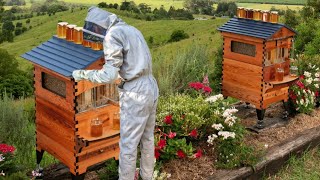 The video of me opening the bee hive and watching it because its summer seasonTg australian🇦🇺 [upl. by Ilahtan]