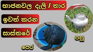 Caustic soda cleaning  caustic soda uses and experiments  Kitchen cleaning tips Sinhala [upl. by Ansilme]