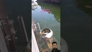 seabin tacnology amzingtechnology environment [upl. by Arvind]