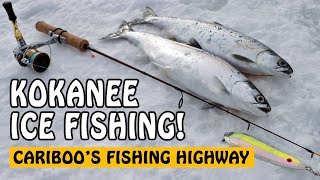 Ice Fishing for Kokanee in Cariboo BC Canada  Fishing with Rod [upl. by Bhatt]