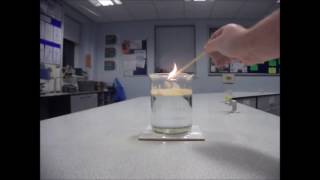 Lycopodium Powder Demonstration [upl. by Garbers454]