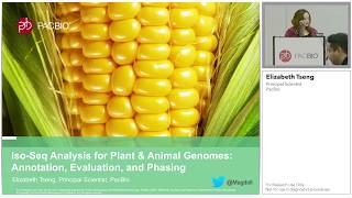 Elizabeth Tseng IsoSeq Analysis for Plant amp Animal Genomes  Annotation Evaluation amp Phasing [upl. by Hoo]