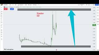 Stader SD Crypto Price Prediction 2024 [upl. by Lyndy586]