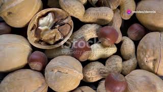 Easy Guide to Processing Hickory Nuts at Home [upl. by Hameerak89]