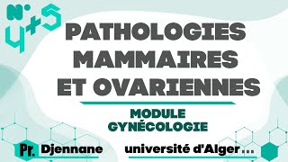 Gynéco  Anapath  0405 Pathologies mammaires et ovariennes Pr Djennane [upl. by Hermina]