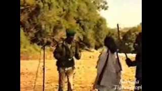 TPLF Song  Ms Hzbna ምስ ህዝብና [upl. by Notslah27]