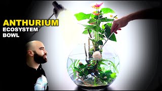 Anthurium Ecosystem Bowl AMAZING No Filter Aquarium Aquascape Tutorial [upl. by Benson648]