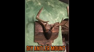 DIY ANTLER MOUNT WALKTHRU [upl. by Hatfield958]