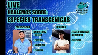 Charla con KLEINER FISH ACUARIUM  Peces transgénicos plantas transgénicas 🌾🧬🔬💉 [upl. by Chobot]