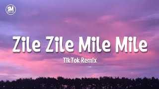 Zile Zile Mile Mile TikTok Remix Song [upl. by Cirederf]