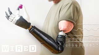 How MindControlled Bionic Arms Fuse To The Body  WIRED [upl. by Shaum]