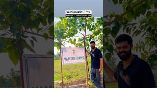 Short 271  Vamshi Farms  Gachibowli  Injapur  vamsee [upl. by Anerbas]