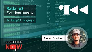 Radare2 Bangla Tutorial  Visual Panels [upl. by Neerihs]