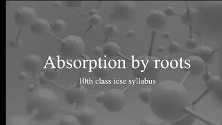 absorptive by roots class 10 icse [upl. by Anchie]