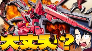 いろいろツッコまれそうなインフィニットジャスティスガンダム弐式【ガンプラレビュー】infinite justice gundam typeII gunpla review【SEEDFREEDOM】 [upl. by Reine699]