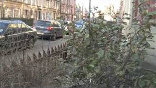 Exposed Shocking living conditions in Glasgows Govanhill [upl. by Kcub145]