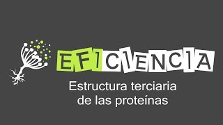 PROTEÍNAS ESTRUCTURA TERCIARIA Dominio proteico Proteína quimérica [upl. by Frerichs]