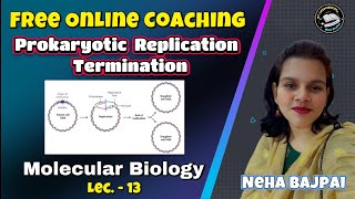 Prokaryotic Replication Termination I Lec  13  Molecular Biology I BSc I MSc Classes [upl. by Hendry]