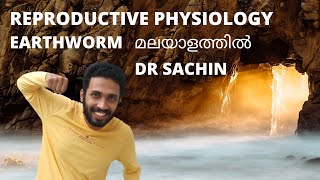 reproductive system of earthworm  part 2  malayalam  knowledge vlogger  anatomy of earthworm [upl. by Lehrer]