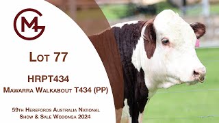 Lot 77 Mawarra Walkabout T434 PP [upl. by Enneite]