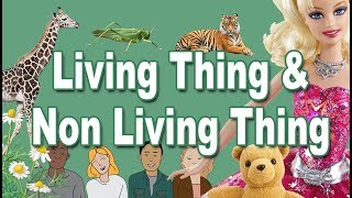 Living and Non Living Things for Kids [upl. by Alauqahs42]