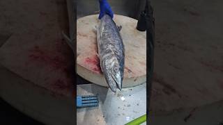 Surmai King Mackerel Fish Cutting Skillsshorts [upl. by Gilbertson]