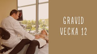 Gravid vecka 12 [upl. by Nahama617]