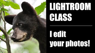 Lightroom Editing Class I edit your photos [upl. by Rhyner958]