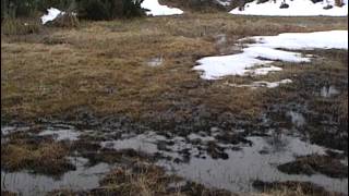 Randonnées dans les Pyrénées  Documentaire nature [upl. by Bethesda]