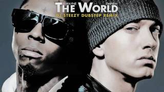 Lil Wayne Eminem  No Love The World Dubstep Remix [upl. by Madda]