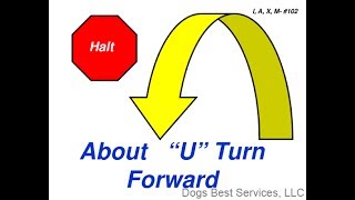 AKC Rally AdvancedIntermediate Sign 102  HALT  About “U” Turn  Forward [upl. by Aia]