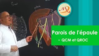 Anatomie des parois de lépaule QCM et QROC [upl. by Isaac]