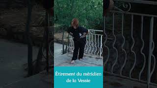 Qi Gong de la Vessie [upl. by Anaitit]