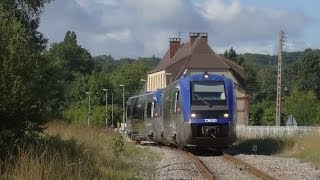 Ligne TrouvilleDeauvilleDivesCabourg [upl. by Ennovihs]