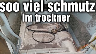 Trockner Reinigen soo viel schmutz könnte auch in deinem Trockner sein [upl. by Welton924]