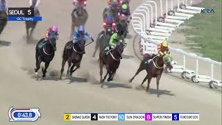 Seoul 20230909 R5 Class Open 1200M Special Weight B  Gold Circle Trophy [upl. by Sral]