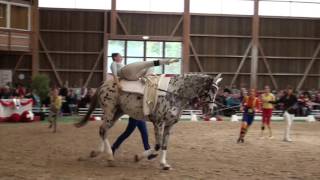 SM Turbenthal 2016  Junior Team Tösstal [upl. by Bolte]