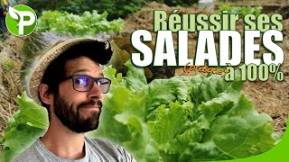 SALADE culture  100 de réussite [upl. by Lokcin15]