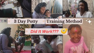 I Tried the 3 Day Potty Training Method  How to Potty Train in 3 Days  Did it Work [upl. by Gaves171]