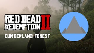 Red Dead Redemption 2  Rock carving location  Cumberland Forest [upl. by Formica934]