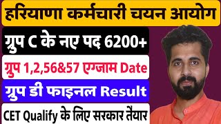 HSSC CET Group 1256 amp57 Exam Date Group D Final Result  CET Qualify  New Vacancy [upl. by Pollitt]