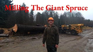 Milling The Giant Spruce [upl. by Nareik]