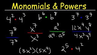 Multiplying and Dividing Monomials [upl. by Initirb981]